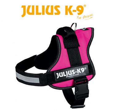 Pettorine Julius K9