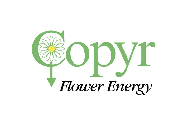 Copyr