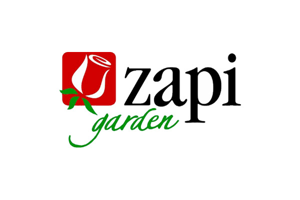 Zapi